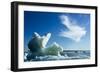 Sea Ice, Hudson Bay, Canada-null-Framed Photographic Print