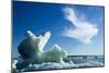 Sea Ice, Hudson Bay, Canada-null-Mounted Photographic Print