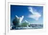 Sea Ice, Hudson Bay, Canada-null-Framed Photographic Print