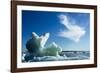 Sea Ice, Hudson Bay, Canada-null-Framed Photographic Print