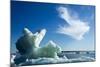 Sea Ice, Hudson Bay, Canada-null-Mounted Photographic Print