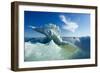 Sea Ice, Hudson Bay, Canada-null-Framed Photographic Print