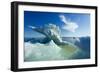 Sea Ice, Hudson Bay, Canada-null-Framed Photographic Print