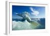 Sea Ice, Hudson Bay, Canada-null-Framed Photographic Print