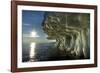 Sea Ice, Hudson Bay, Canada-null-Framed Photographic Print