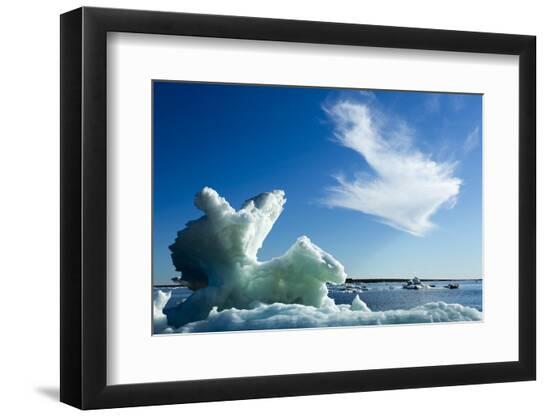 Premium Photographic Print, , large