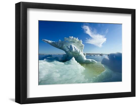 Premium Photographic Print, , large