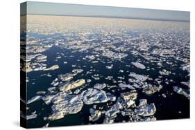 Sea Ice, Hudson Bay, Nunavut, Canada-Paul Souders-Stretched Canvas