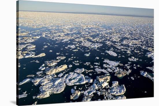 Sea Ice, Hudson Bay, Nunavut, Canada-Paul Souders-Stretched Canvas