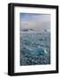 Sea ice in Wahlenbergfjorden fjord. Nordaustlandet, Norway-Sergio Pitamitz-Framed Photographic Print