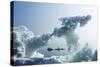 Sea Ice, Nunavut Territory, Canada-Paul Souders-Stretched Canvas