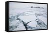 Sea Ice Surrounding Islands-DLILLC-Framed Stretched Canvas