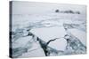 Sea Ice Surrounding Islands-DLILLC-Stretched Canvas