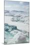 Sea Ice Surrounding Islands-DLILLC-Mounted Premium Photographic Print