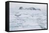 Sea Ice Surrounding Islands-DLILLC-Framed Stretched Canvas