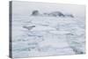 Sea Ice Surrounding Islands-DLILLC-Stretched Canvas