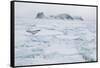 Sea Ice Surrounding Islands-DLILLC-Framed Stretched Canvas