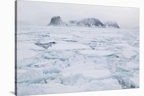 Sea Ice Surrounding Islands-DLILLC-Stretched Canvas