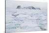 Sea Ice Surrounding Islands-DLILLC-Stretched Canvas