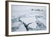 Sea Ice Surrounding Islands-DLILLC-Framed Photographic Print