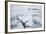 Sea Ice Surrounding Islands-DLILLC-Framed Photographic Print