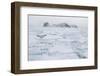 Sea Ice Surrounding Islands-DLILLC-Framed Photographic Print