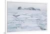 Sea Ice Surrounding Islands-DLILLC-Framed Photographic Print