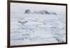 Sea Ice Surrounding Islands-DLILLC-Framed Photographic Print