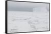 Sea Ice with Iceberg-DLILLC-Framed Stretched Canvas