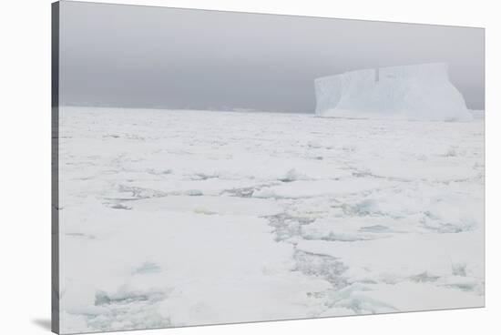 Sea Ice with Iceberg-DLILLC-Stretched Canvas