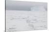 Sea Ice with Iceberg-DLILLC-Stretched Canvas