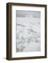 Sea Ice with Iceberg-DLILLC-Framed Photographic Print