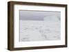 Sea Ice with Iceberg-DLILLC-Framed Photographic Print