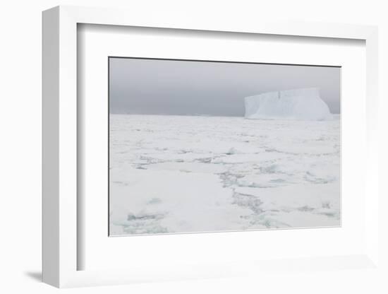 Sea Ice with Iceberg-DLILLC-Framed Photographic Print