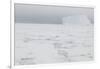 Sea Ice with Iceberg-DLILLC-Framed Photographic Print
