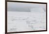 Sea Ice with Iceberg-DLILLC-Framed Photographic Print