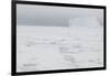 Sea Ice with Iceberg-DLILLC-Framed Photographic Print