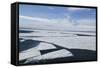 Sea Ice with Mount Erebus in Distance-DLILLC-Framed Stretched Canvas