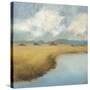 Sea Island Lowcountry-Adam Rogers-Stretched Canvas