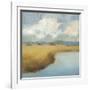 Sea Island Lowcountry-Adam Rogers-Framed Art Print