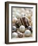 Sea Jewels II-Boyce Watt-Framed Art Print