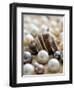 Sea Jewels II-Boyce Watt-Framed Art Print