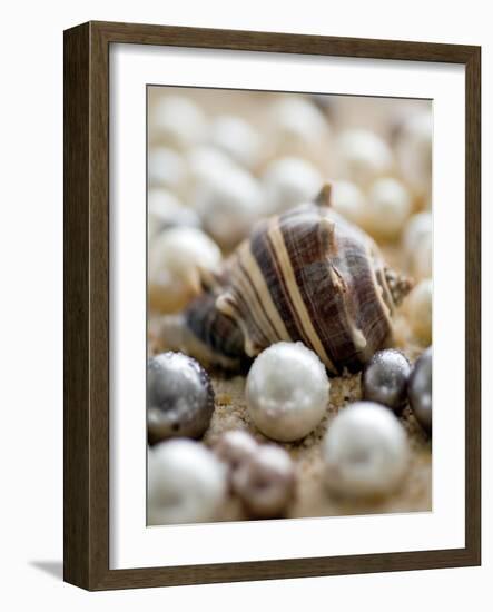 Sea Jewels II-Boyce Watt-Framed Art Print