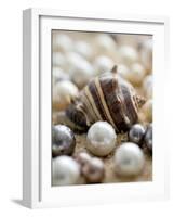 Sea Jewels II-Boyce Watt-Framed Art Print