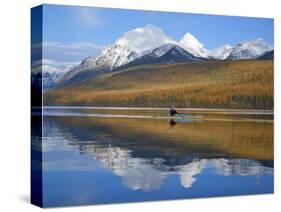 Sea Kayaker on Bowman Lake in Autumn in Glacier National Park, Montana, USA-Chuck Haney-Stretched Canvas