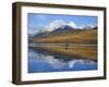 Sea Kayaker on Bowman Lake in Autumn in Glacier National Park, Montana, USA-Chuck Haney-Framed Photographic Print