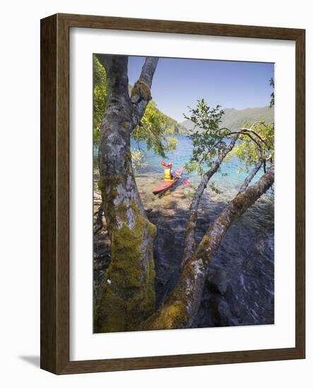 Sea Kayaker with Alder (Alnus Rubra), Crescent Lake, Washington, USA-Gary Luhm-Framed Photographic Print