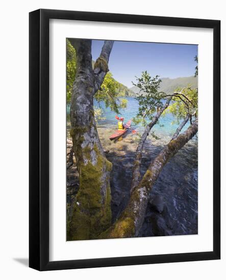 Sea Kayaker with Alder (Alnus Rubra), Crescent Lake, Washington, USA-Gary Luhm-Framed Photographic Print