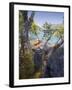 Sea Kayaker with Alder (Alnus Rubra), Crescent Lake, Washington, USA-Gary Luhm-Framed Photographic Print