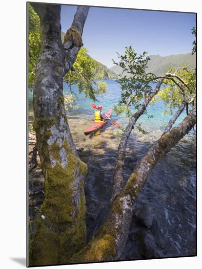 Sea Kayaker with Alder (Alnus Rubra), Crescent Lake, Washington, USA-Gary Luhm-Mounted Photographic Print